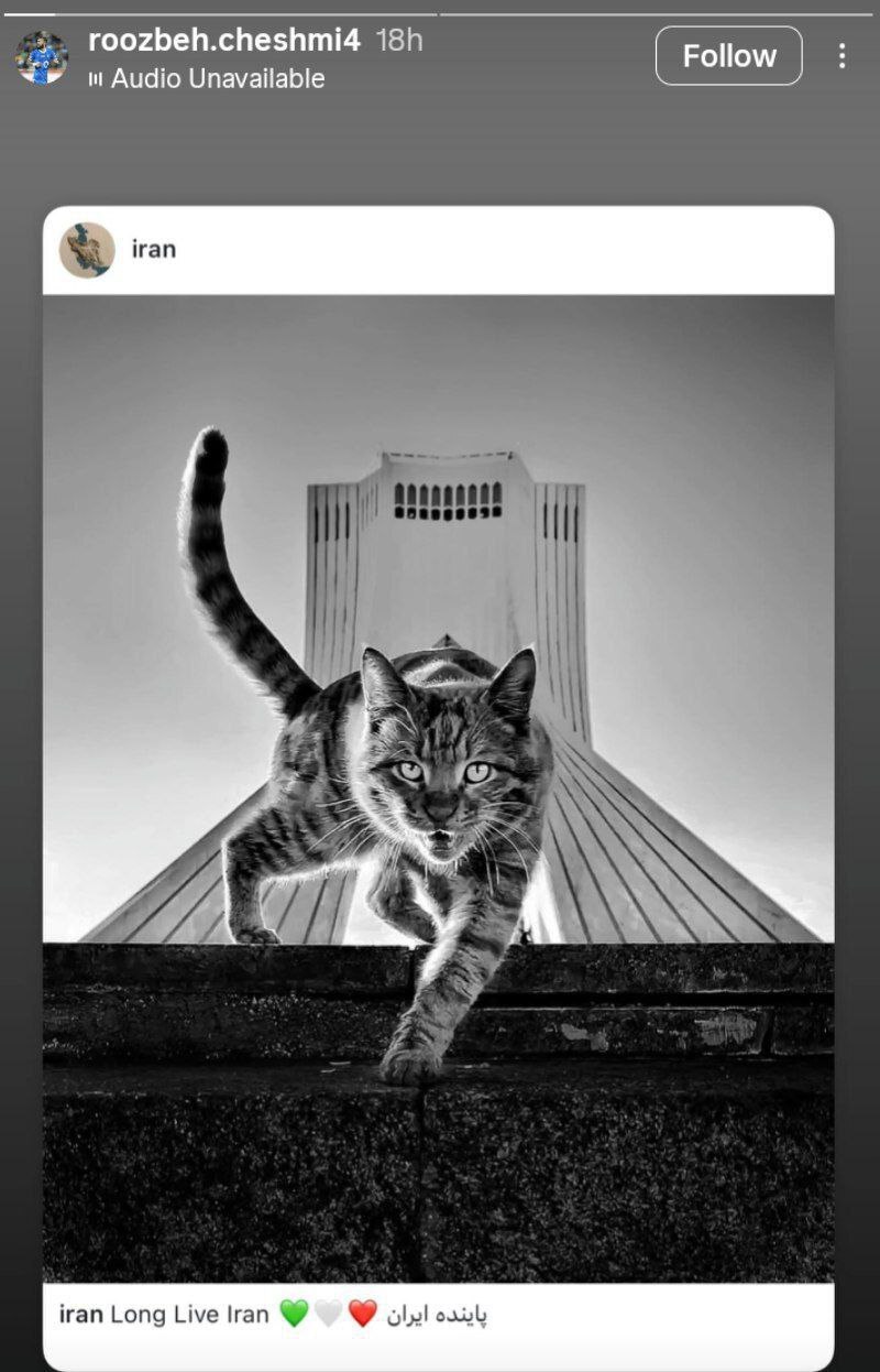 ادامه واکنش‌ها از سوی جامعه ورزش ایران خطاب به رژیم رذل صهیونی + عکس