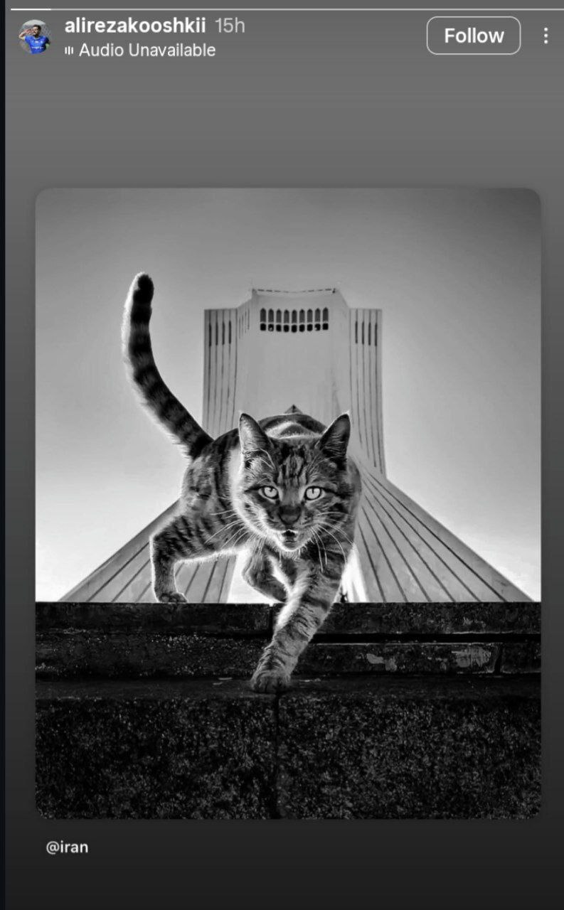 ادامه واکنش‌ها از سوی جامعه ورزش ایران خطاب به رژیم رذل صهیونی + عکس