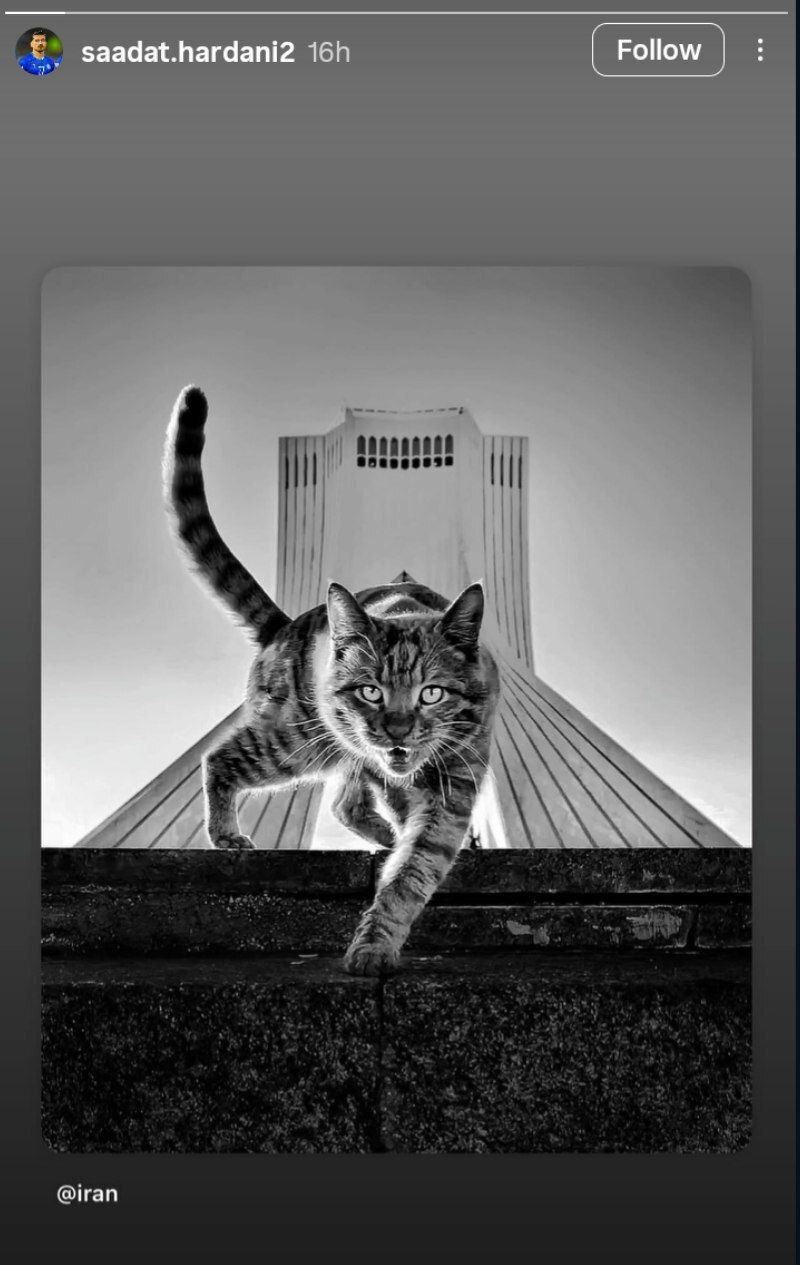 ادامه واکنش‌ها از سوی جامعه ورزش ایران خطاب به رژیم رذل صهیونی + عکس