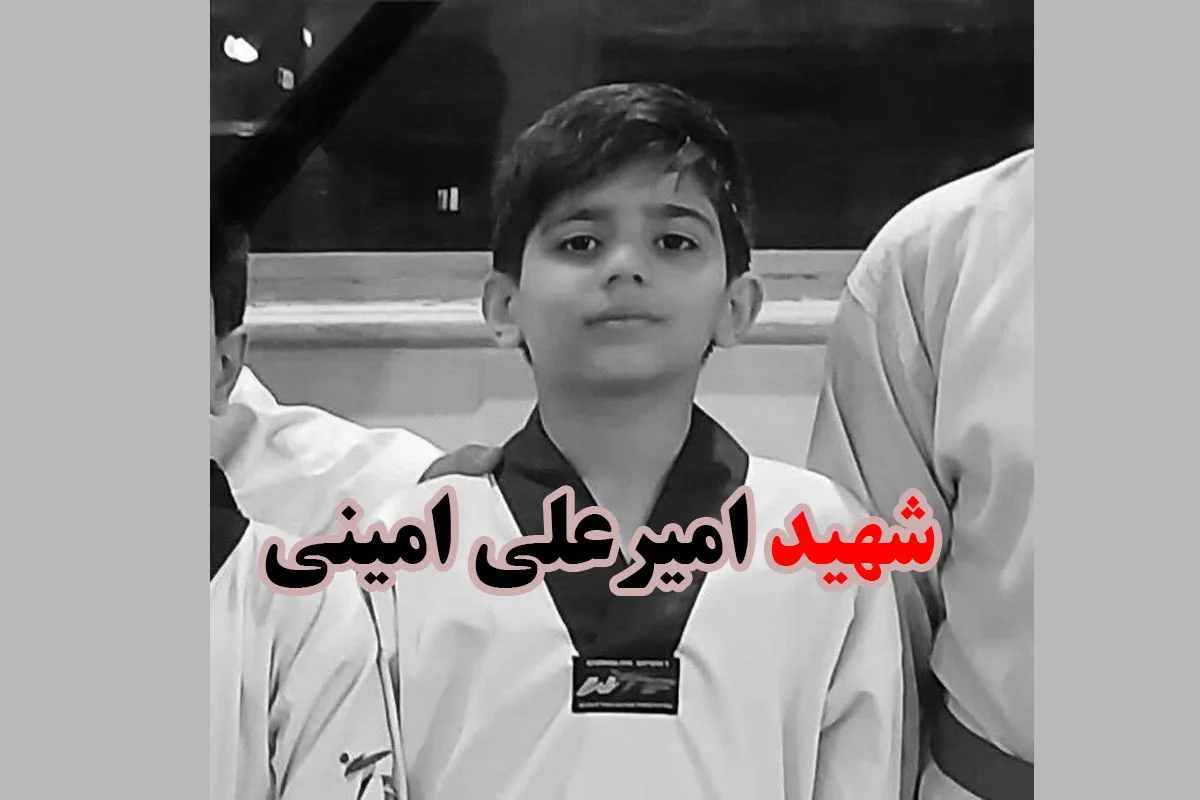 امیرعلی امینی