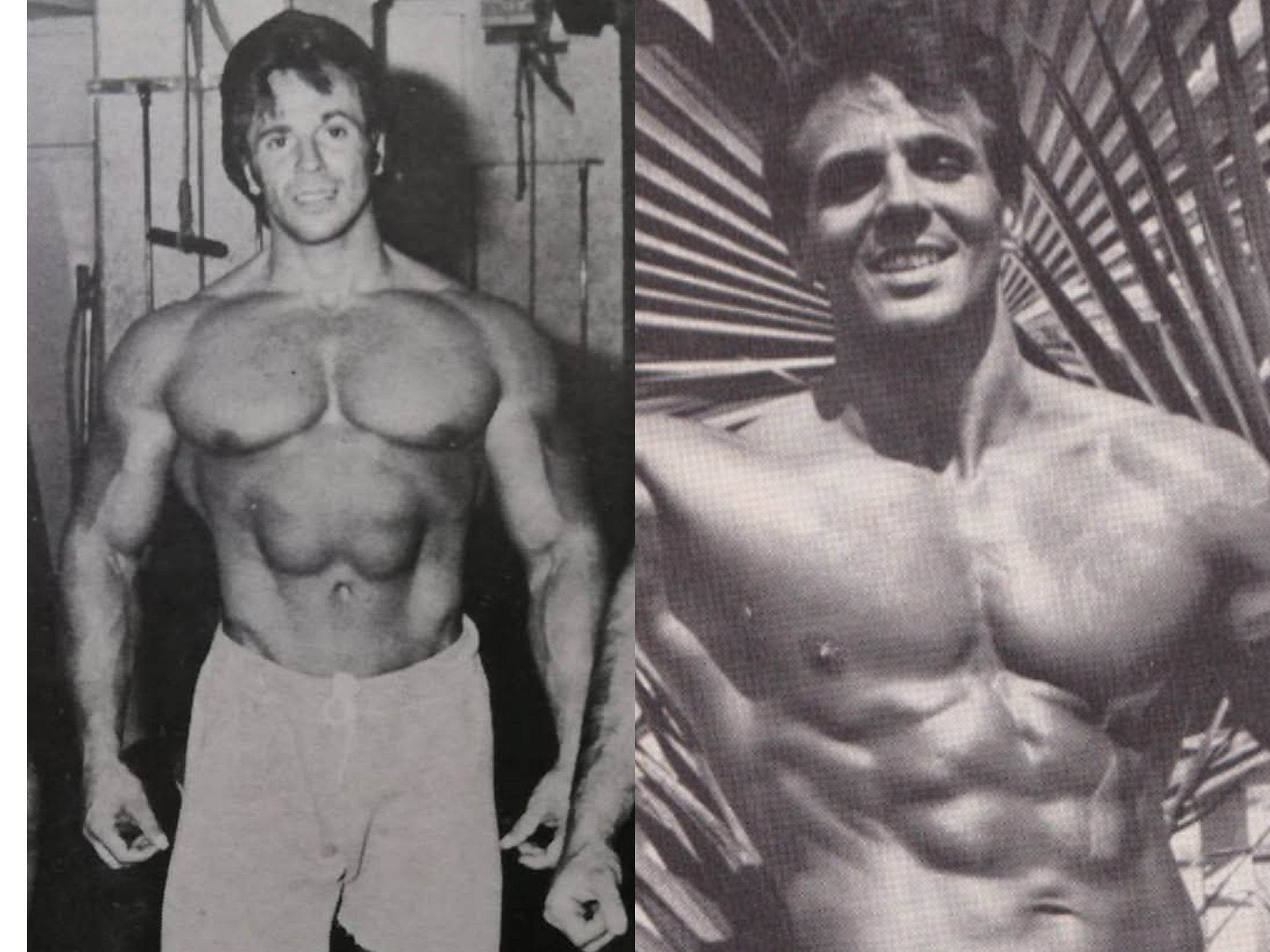 پیتر کاپوتو