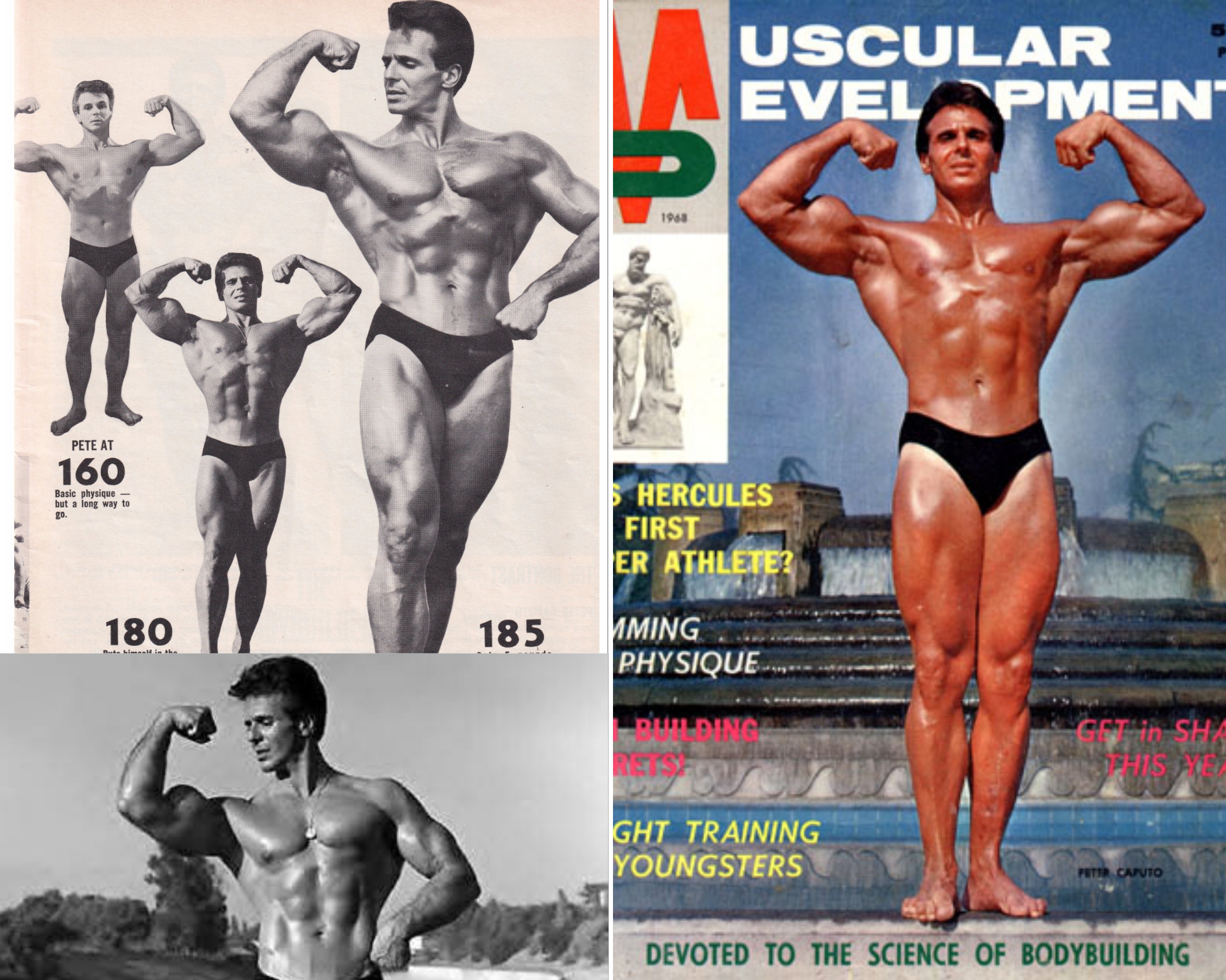 پیتر کاپوتو