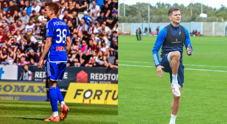 یاکوب پوکورنی