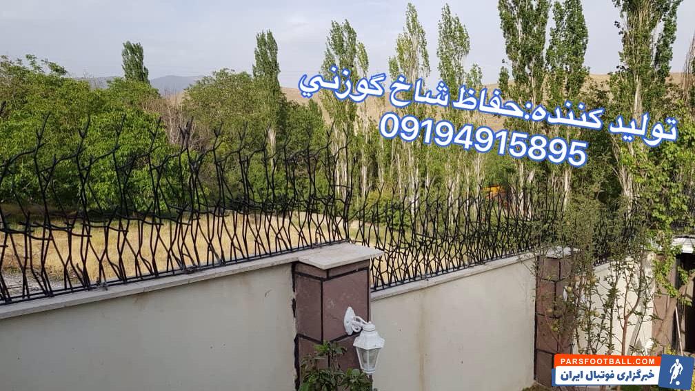 تولید و اجرای حفاظ شاخ گوزنی: سپر دفاعی امن و هنرمندانه برای ساختمان شما