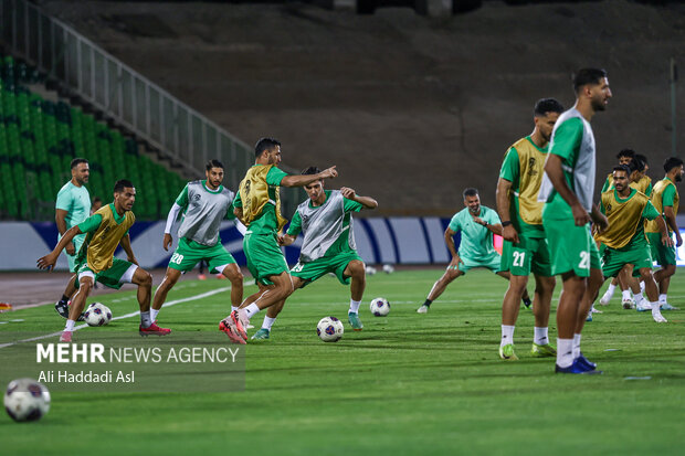 عدم دخالت فدراسیون در پرونده بیرانوند؛ در تلاش برای بازی های تدارکاتی