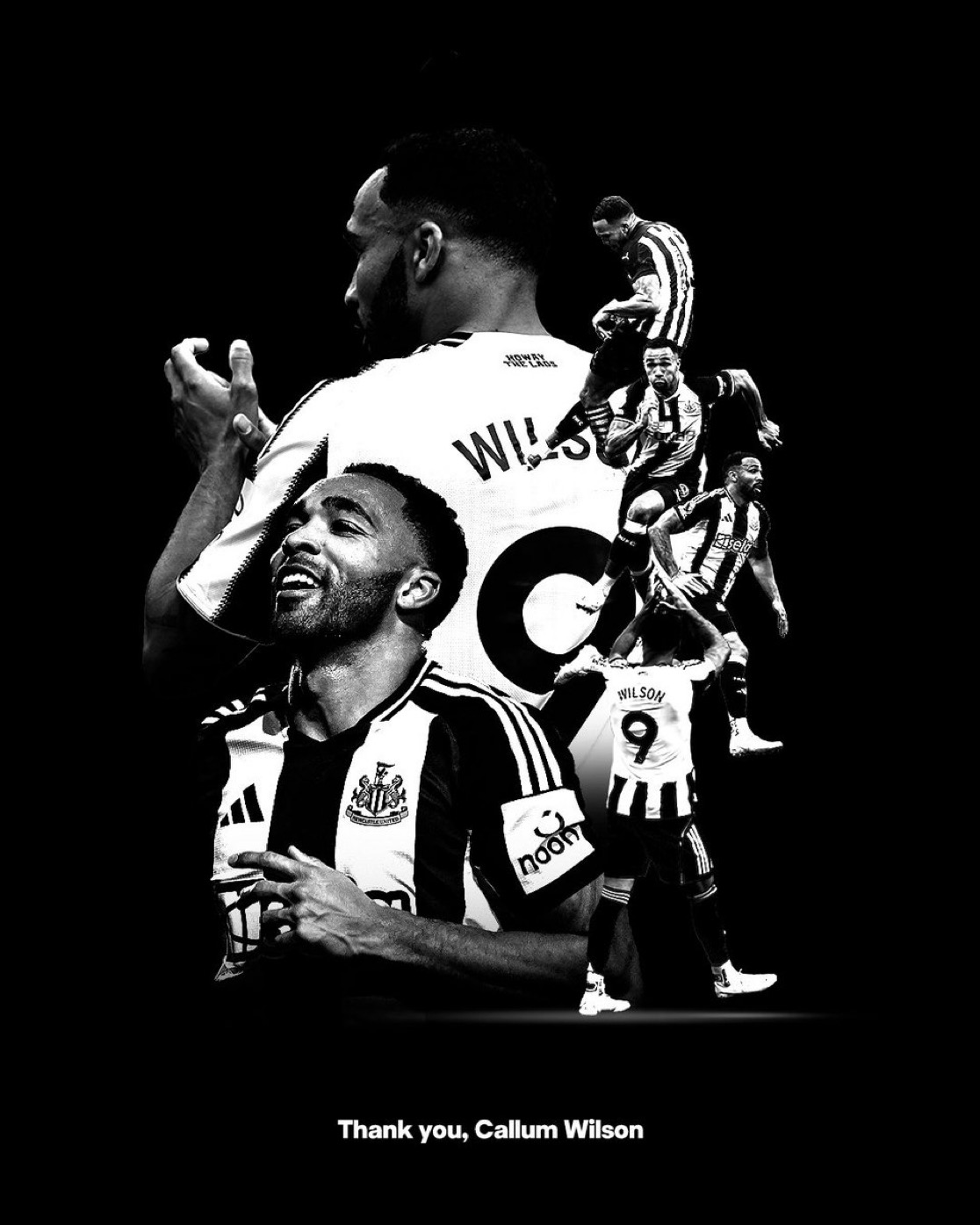 کالوم ویلسون - نیوکاسل - لیگ برتر انگلیس