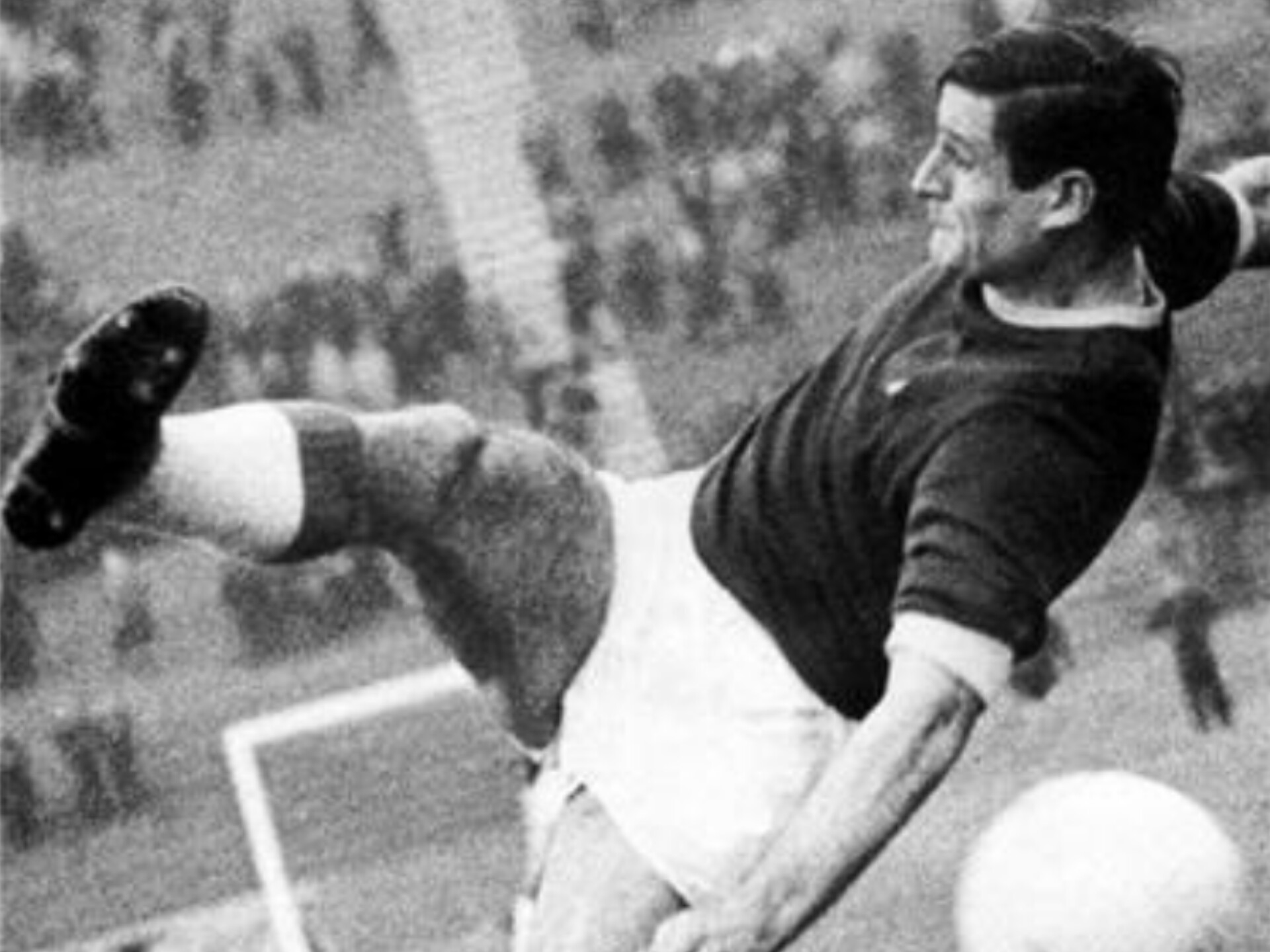 دراژان یرکوویچ