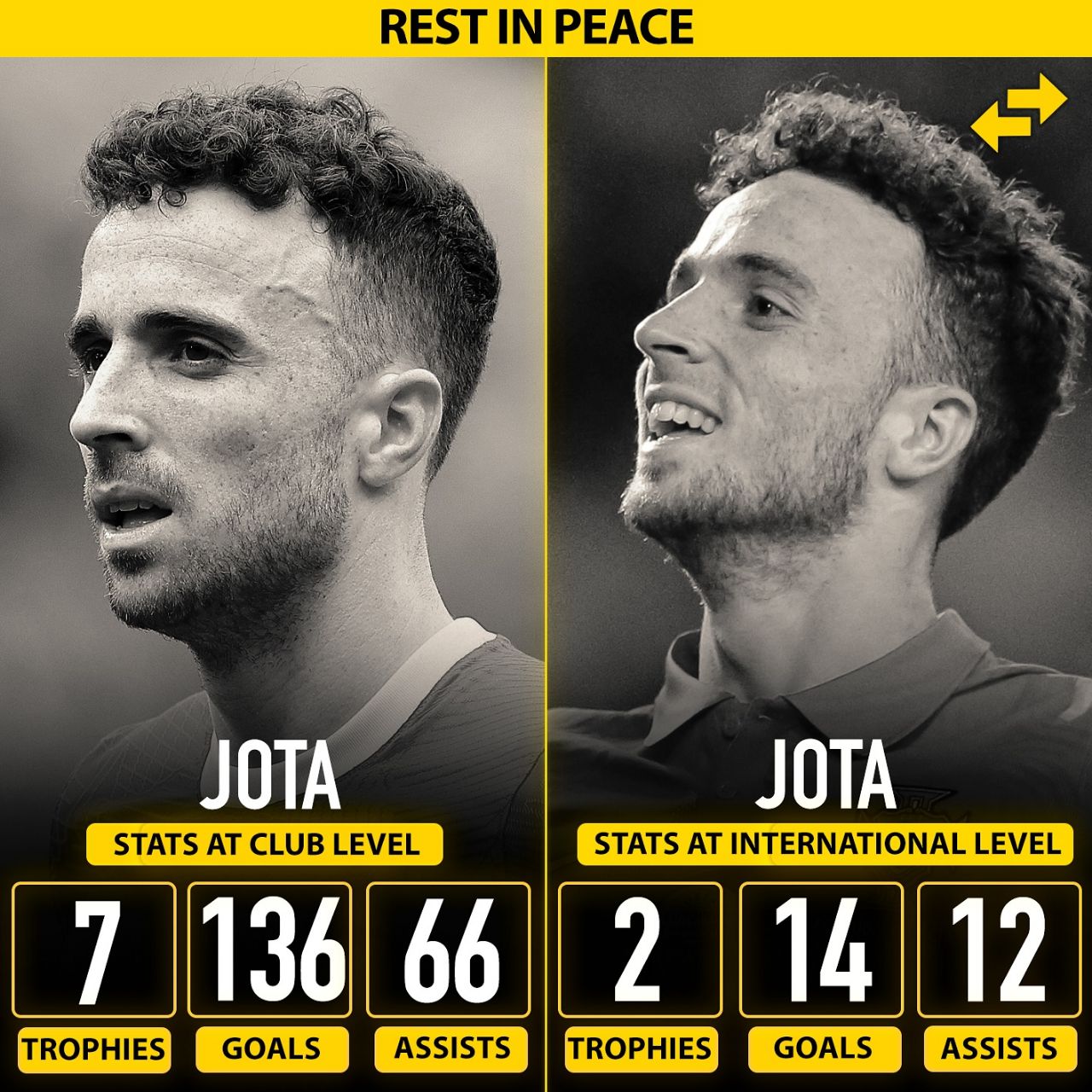 دستاوردهای دوران حرفه‌ای دیوگو ژوتا در رده باشگاهی و ملی