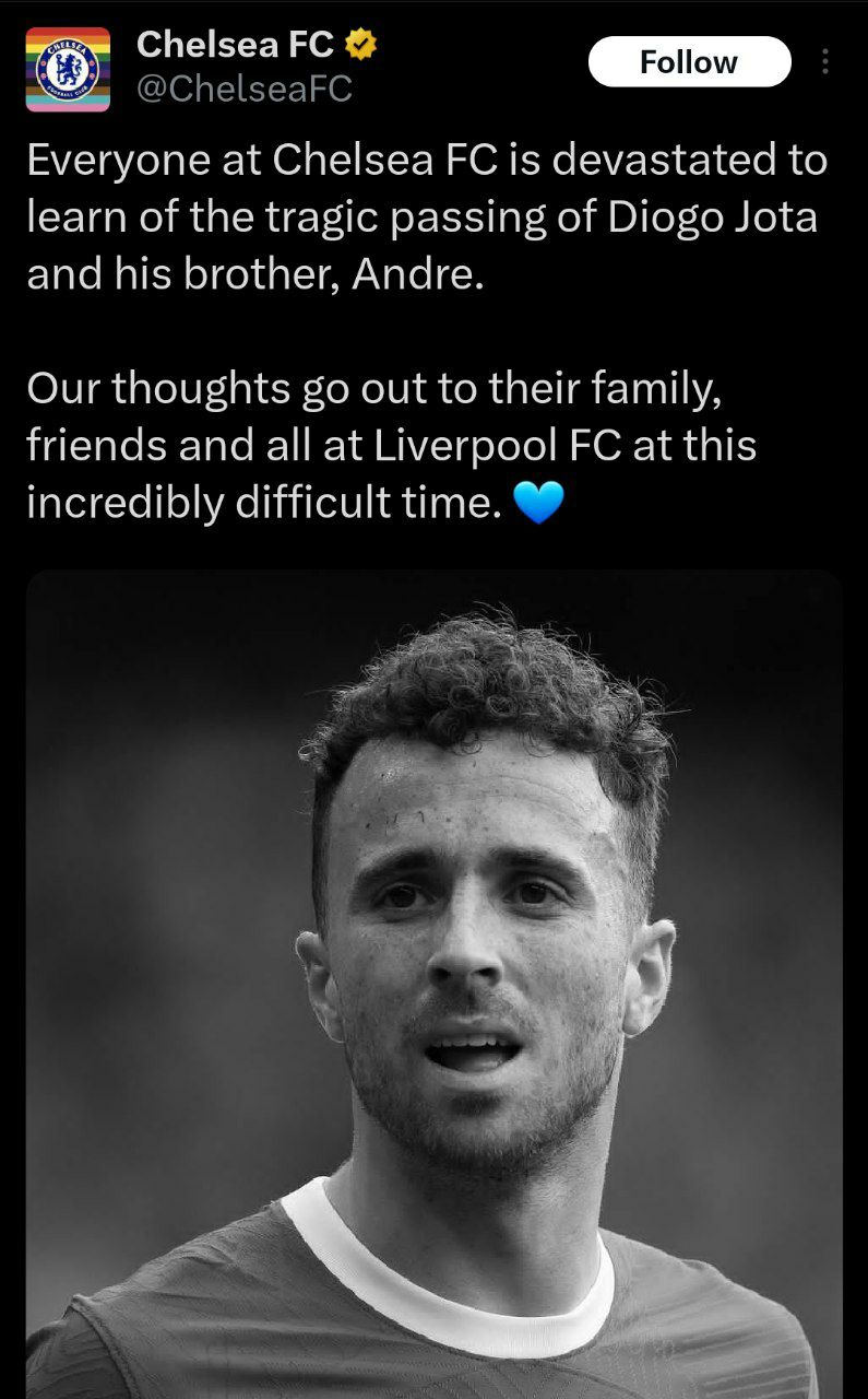 photo_2025-07-03_13-36-30 چلسی