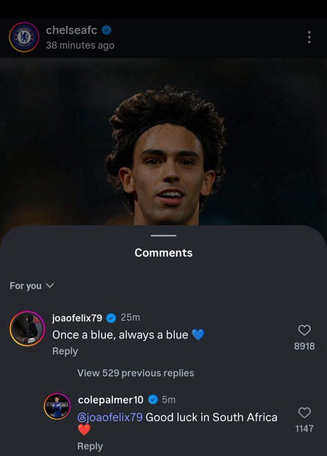 photo_2025-07-30_01-39-06