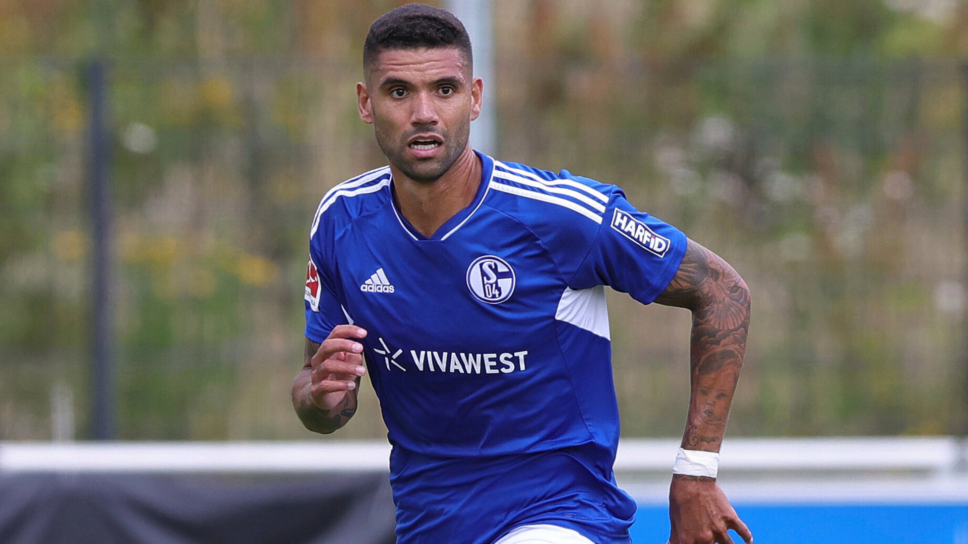 ویکتور پالسون در شالکه