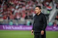 امیر قلعه‌نویی