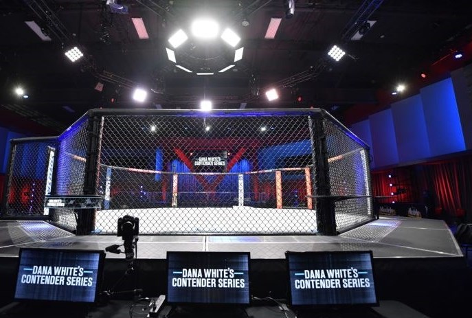 14040123130501839325649910-1 UFC ,