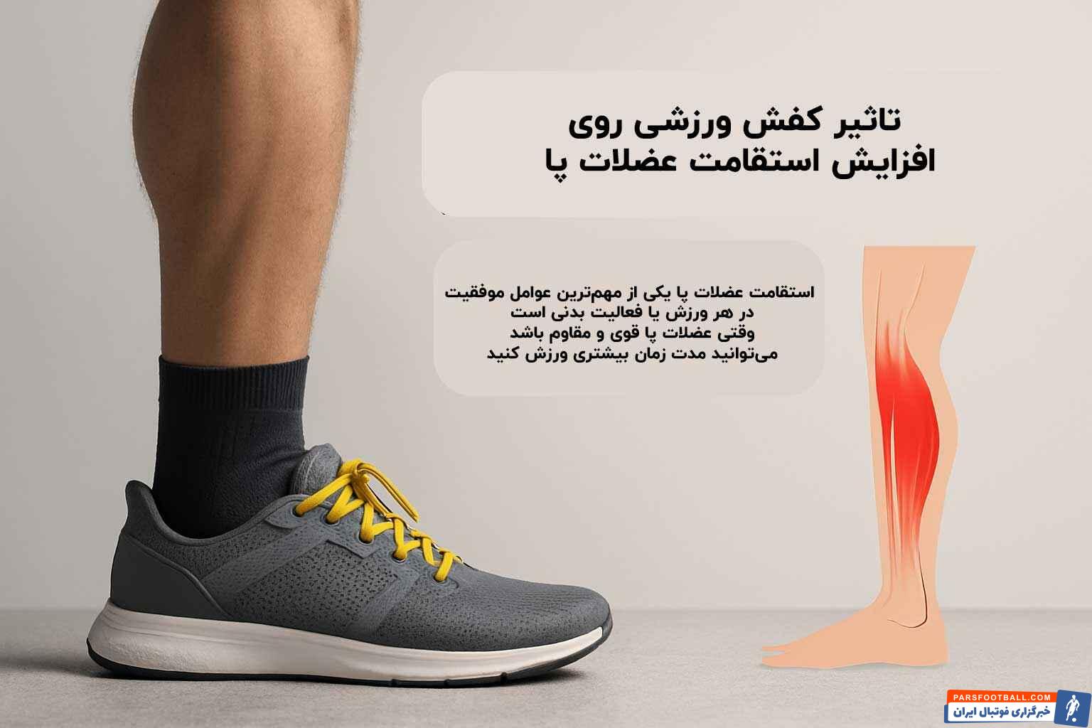 تاثیر کفش ورزشی روی افزایش استقامت عضلات پا