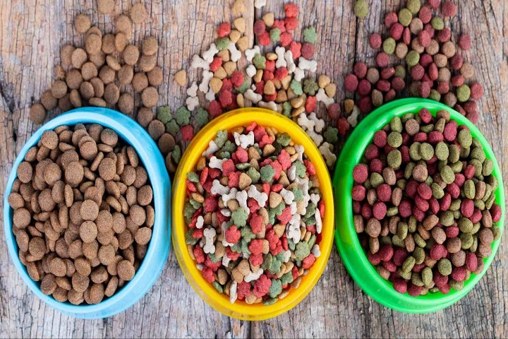 C:UsersAsusDropboxMy PC (DESKTOP-5H0DOOG)Downloads2.jpg