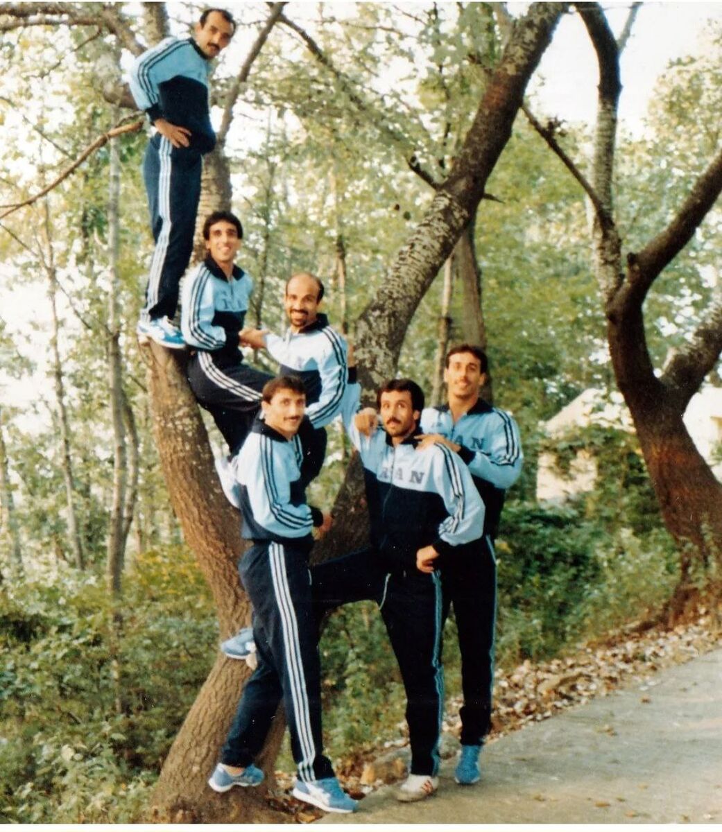 عکس ستارگان و استقلال و پرسپولیس روی درخت!