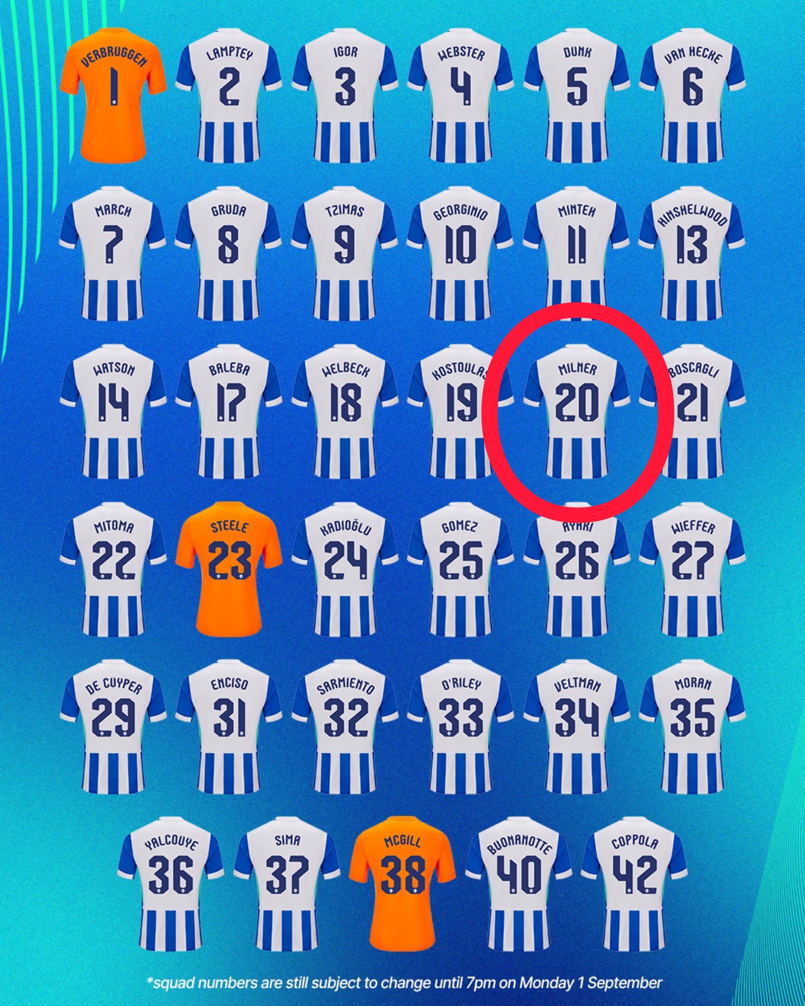 جیمز میلنر - شماره‌های پیراهن برایتون