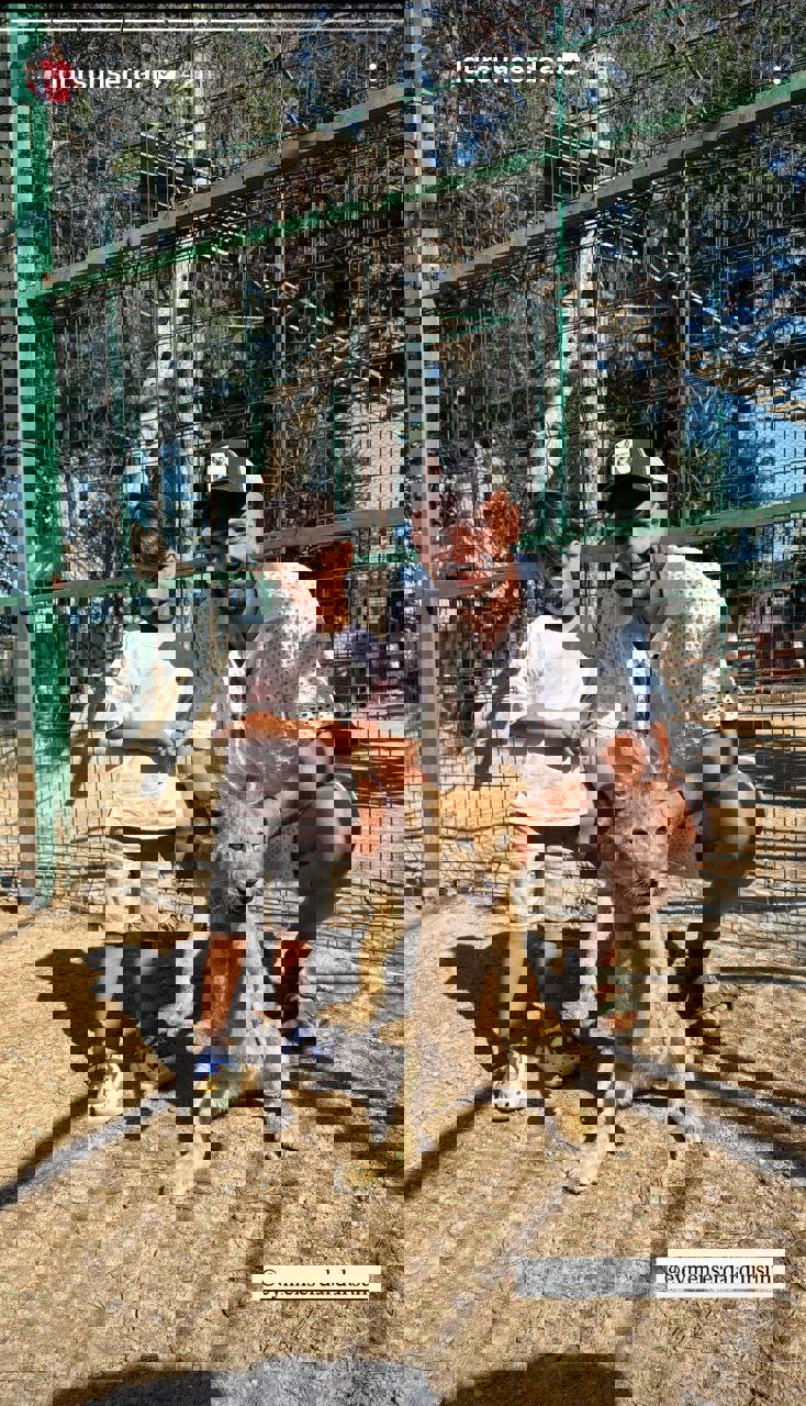 عکس از استوری سردار دورسون با بچه شیر