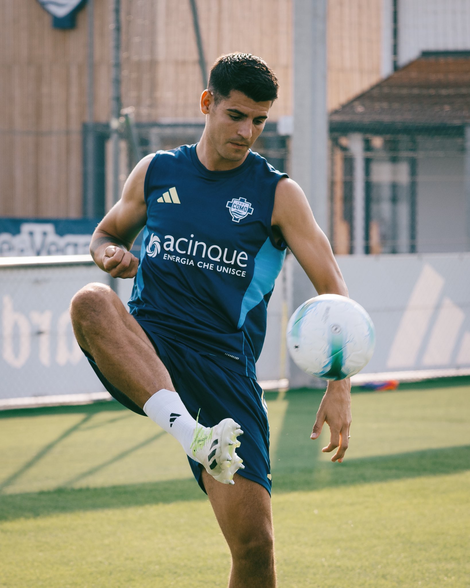 img_4697 آلوارو موراتا