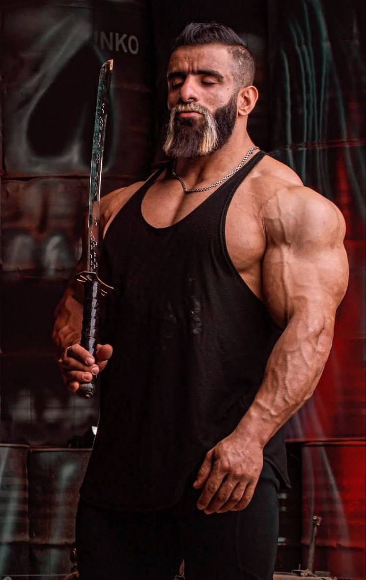 هادی چوپان - هالک هوگن