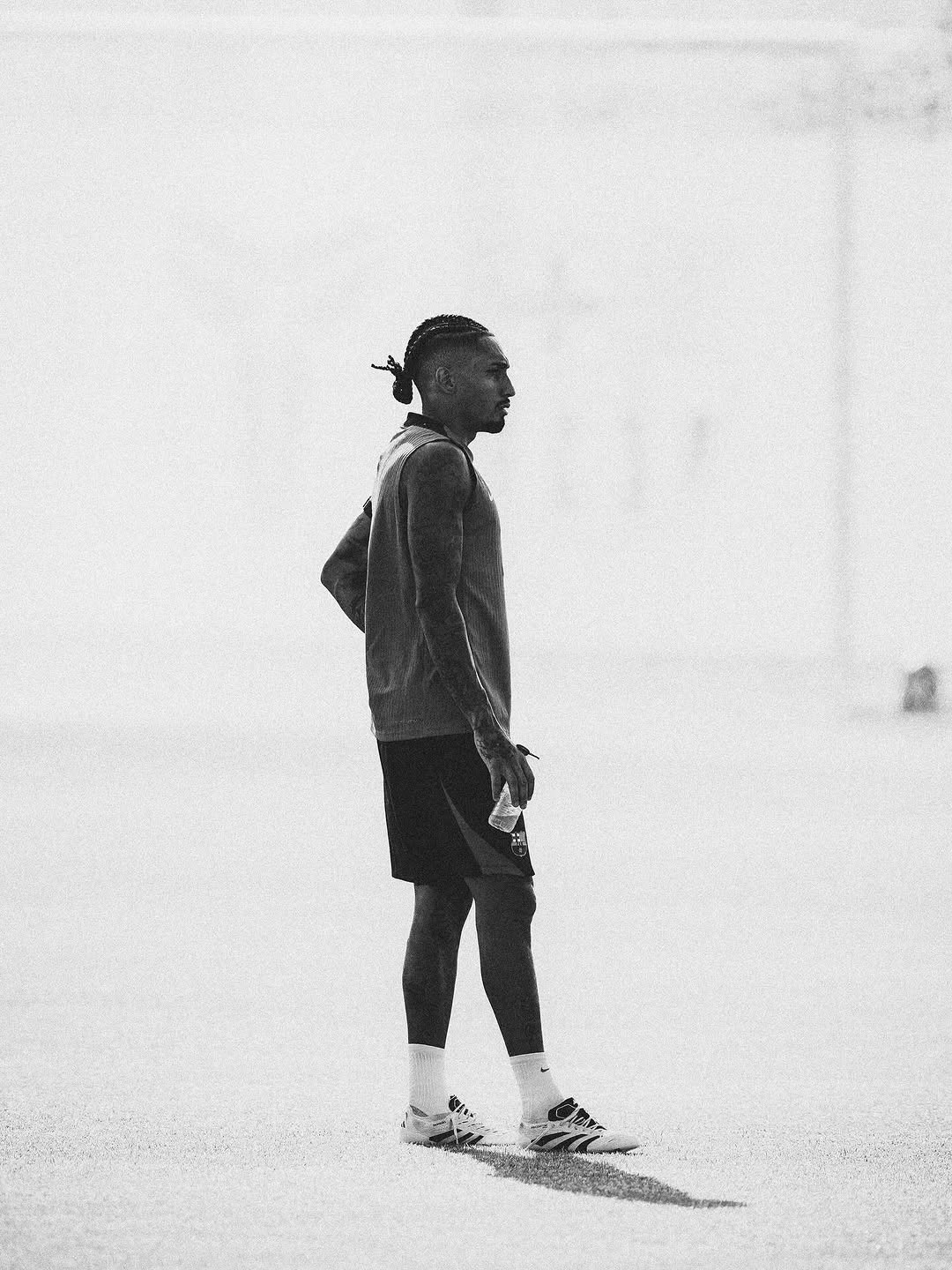 photo_2025-08-28_01-40-01 رافینیا