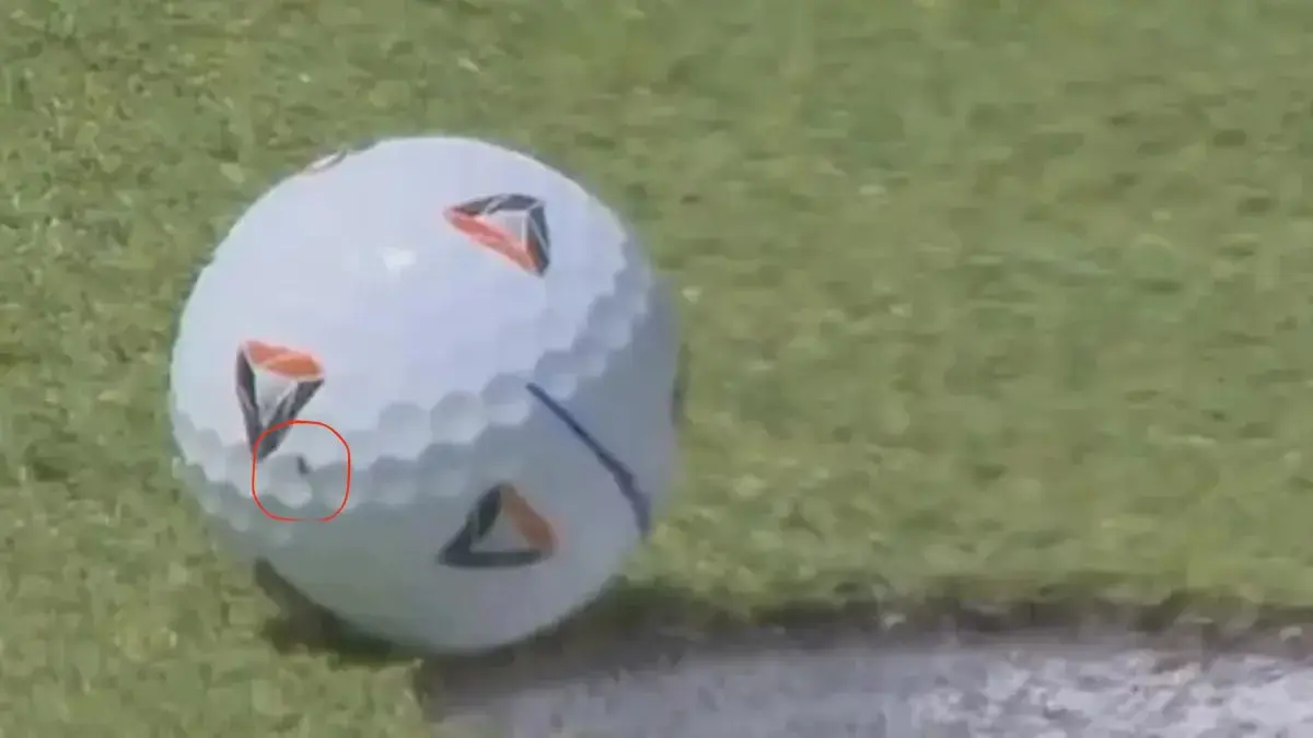 ​کمک غیرمنتظره یک مگس به گلف‌باز بریتانیایی برای فتح جایزه بزرگ (ویدیو)