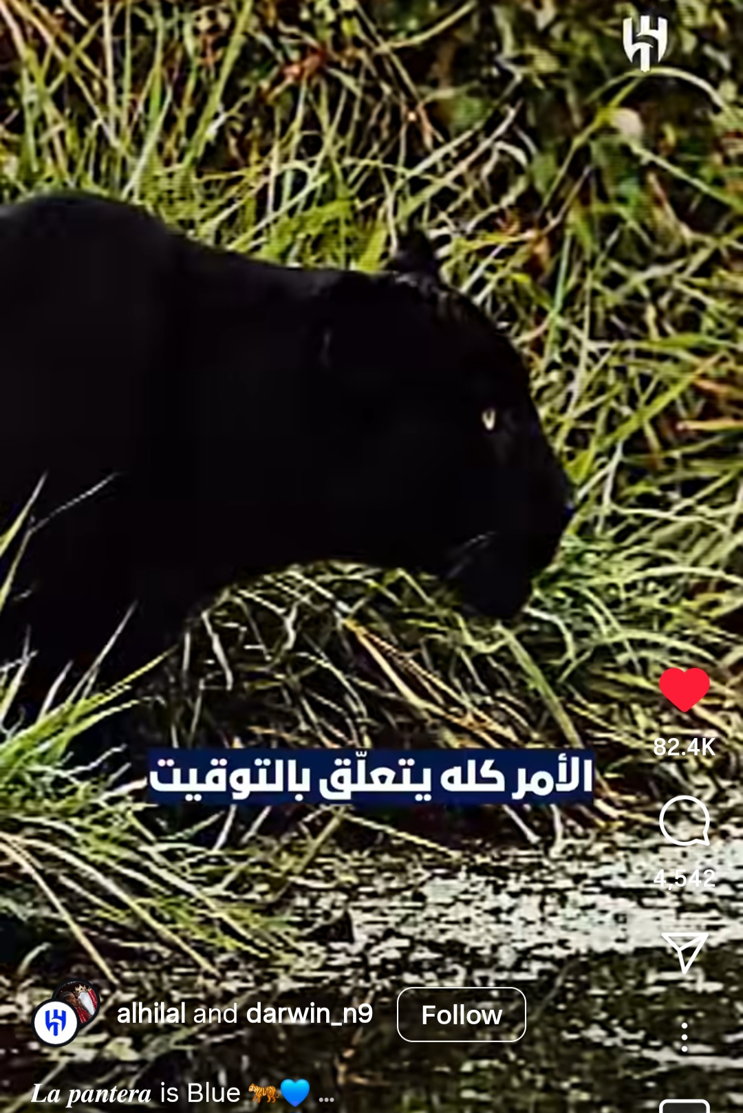 عکس از پست الهلال برای داروین نونیز