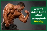 مقایسه اثرات عصاره ماکا و جینسینگ برای ورزشکاران