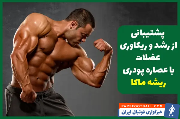 مقایسه اثرات عصاره ماکا و جینسینگ برای ورزشکاران