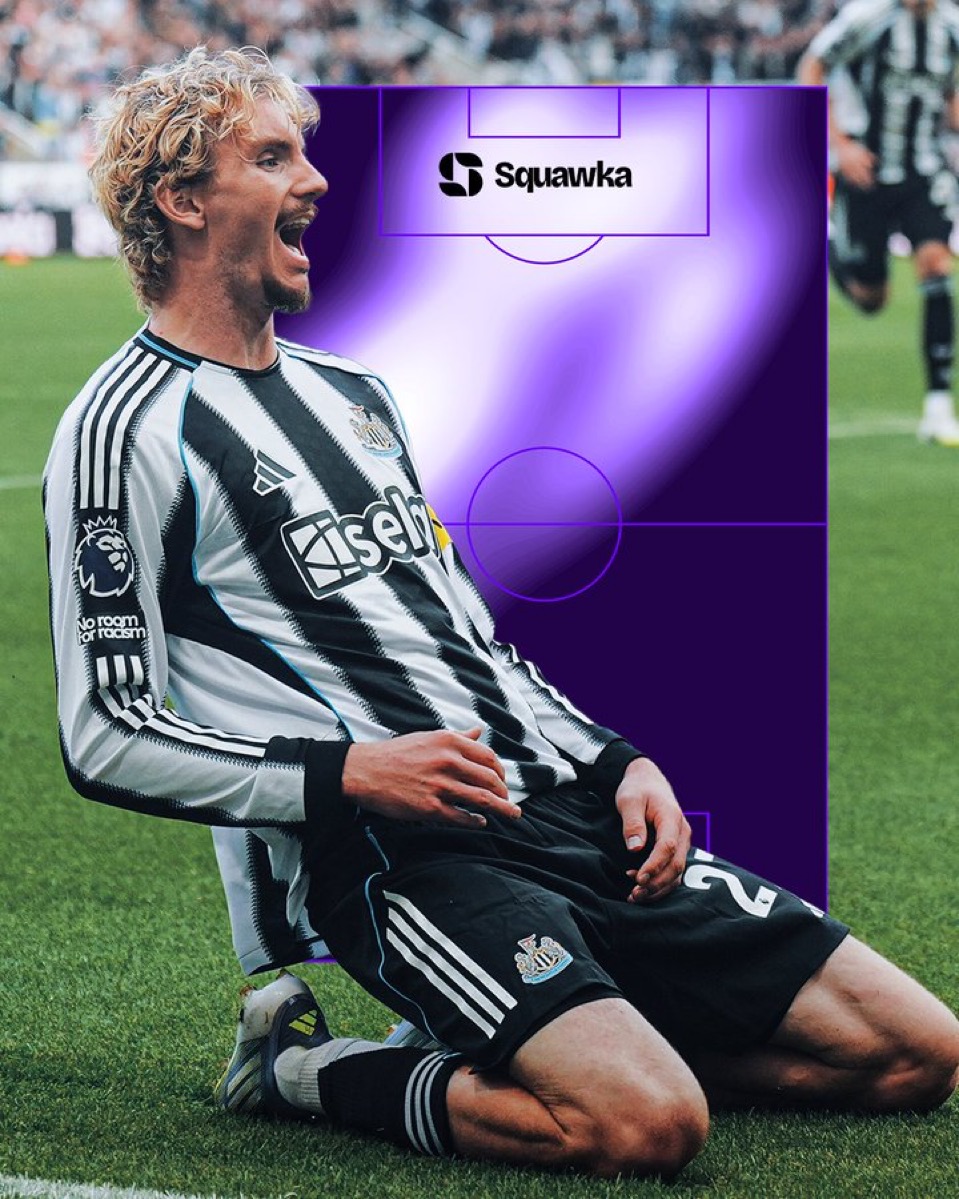 نیک ولتماده - نیوکاسل مقابل وولورهمپتون - لیگ برتر انگلیس