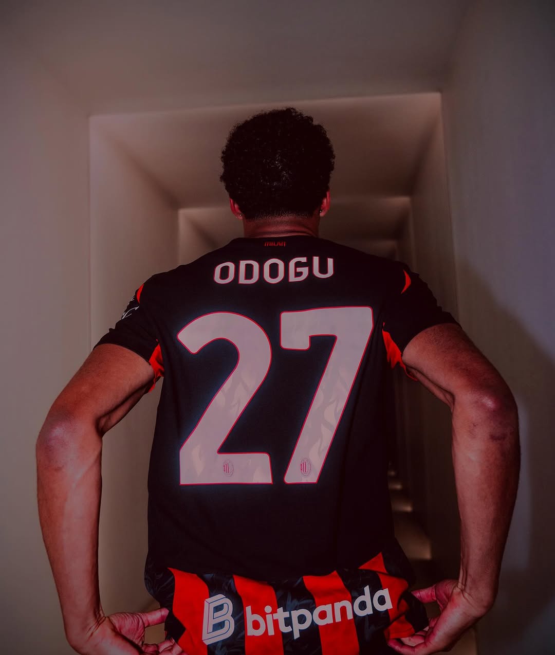 دیوید اودوگو