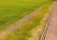 چمن ورزشگاه یادگار امام تبریز پس از بازسازی زرد شد