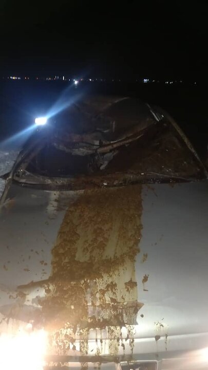 شترهای سرگردان دوباره در جاسک حادثه آفریدند