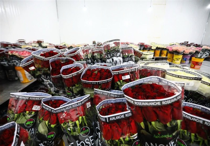 1404090610170816734851564-1 اخبار استان همدان , اخبار نهاوند ,