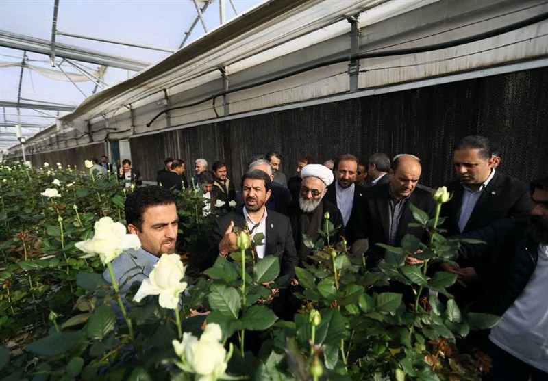 1404090610174262634851584 اخبار استان همدان , اخبار نهاوند ,