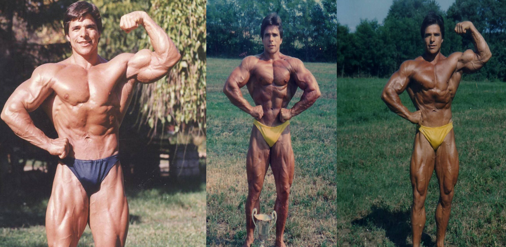 فیکرت هودزیچ