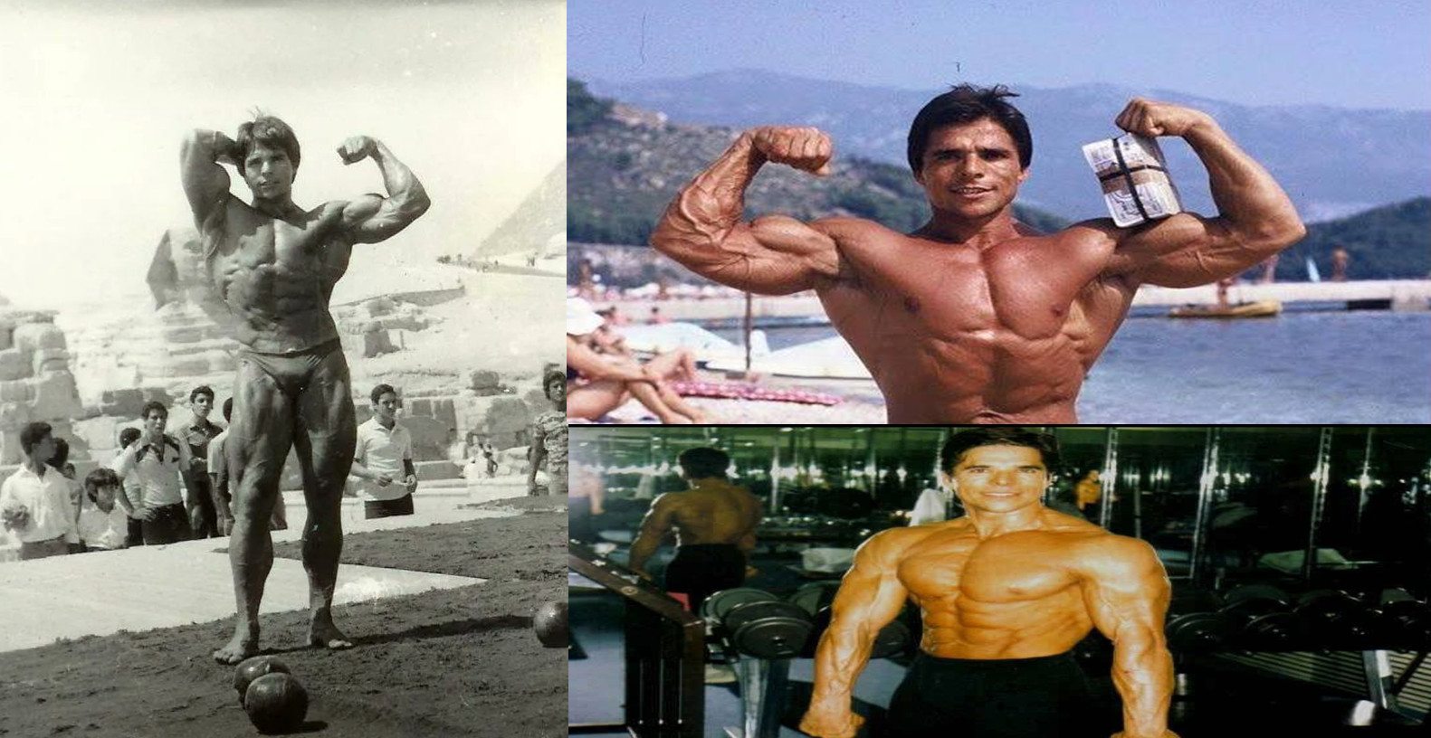 فیکرت هودزیچ