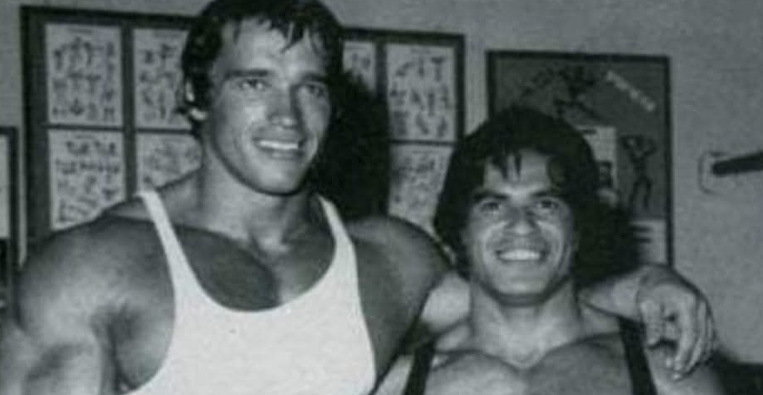 فیکرت هودزیچ و آرنولد شوارتزنگر