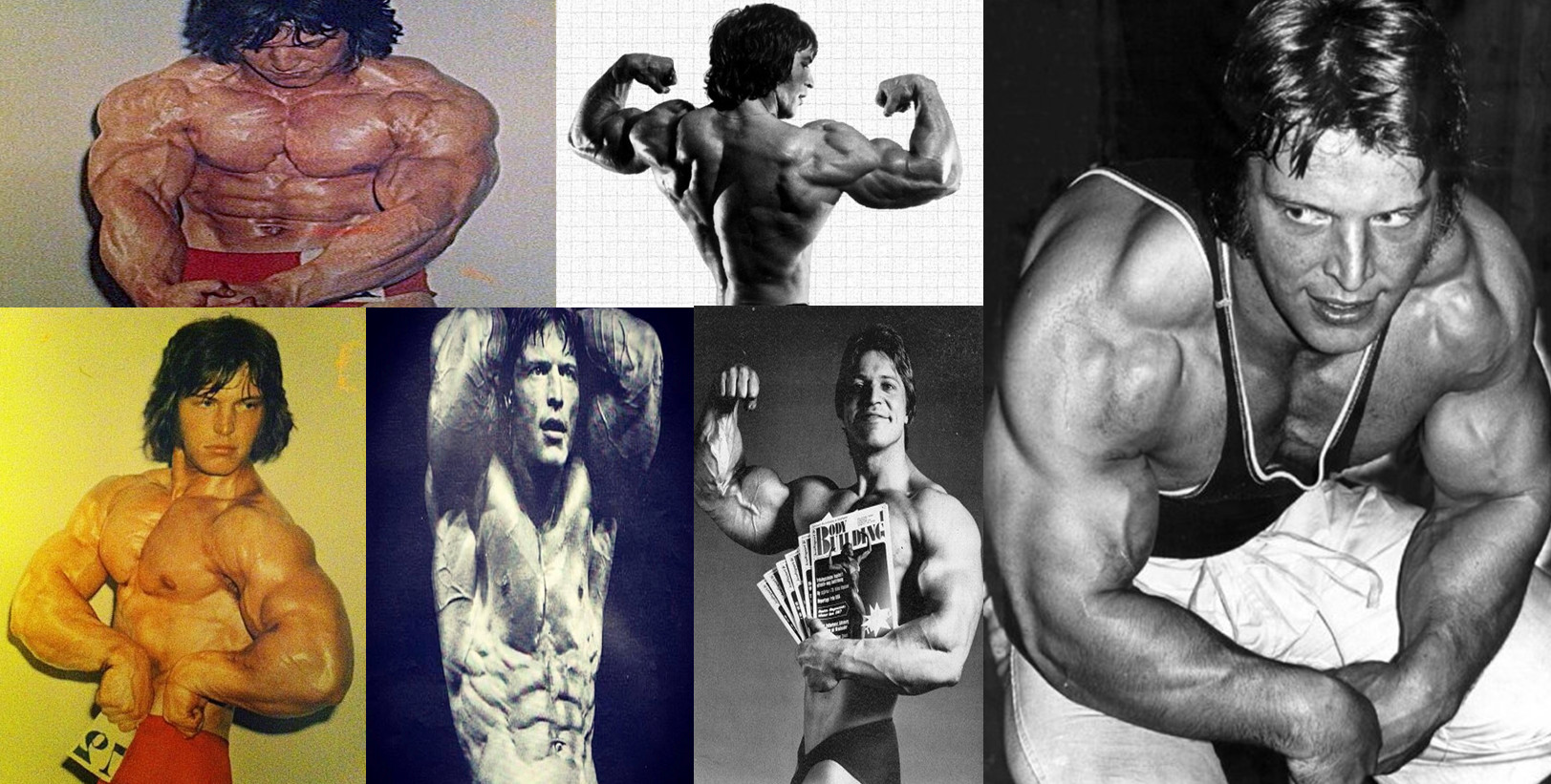 2025-11-22_071450 گونار لوسبو