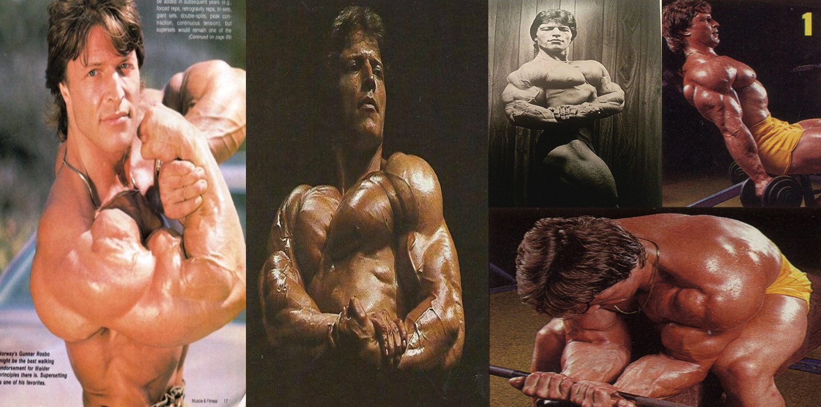 2025-11-22_071624 گونار لوسبو