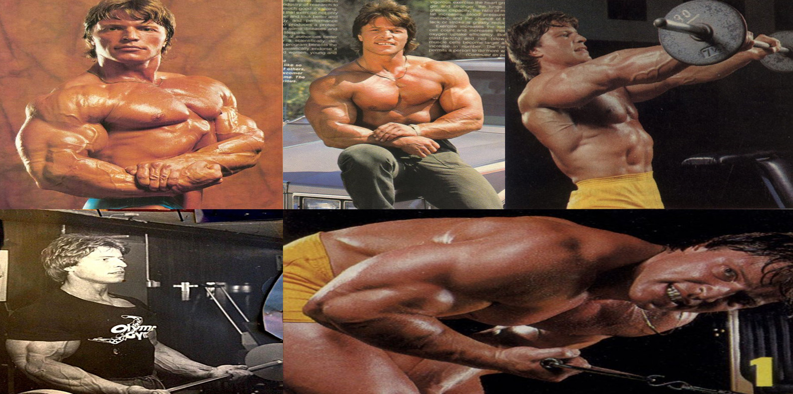 2025-11-22_071812 گونار لوسبو