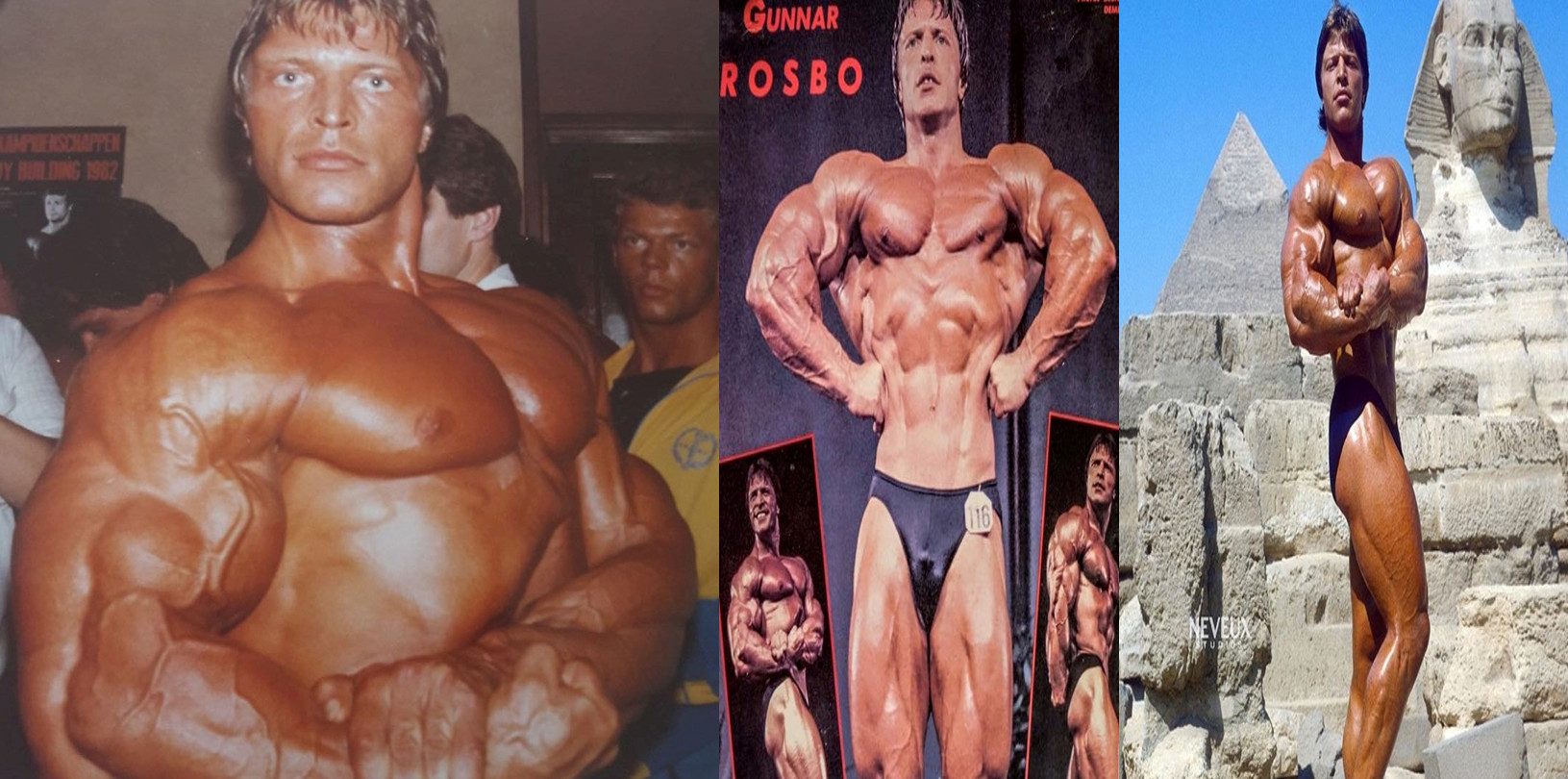 2025-11-22_072056 گونار لوسبو