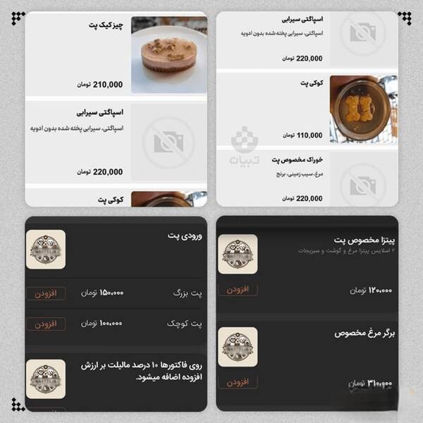 4539443 وقتی پتها از صاحبشان لاکچریتر زندگی میکنند!