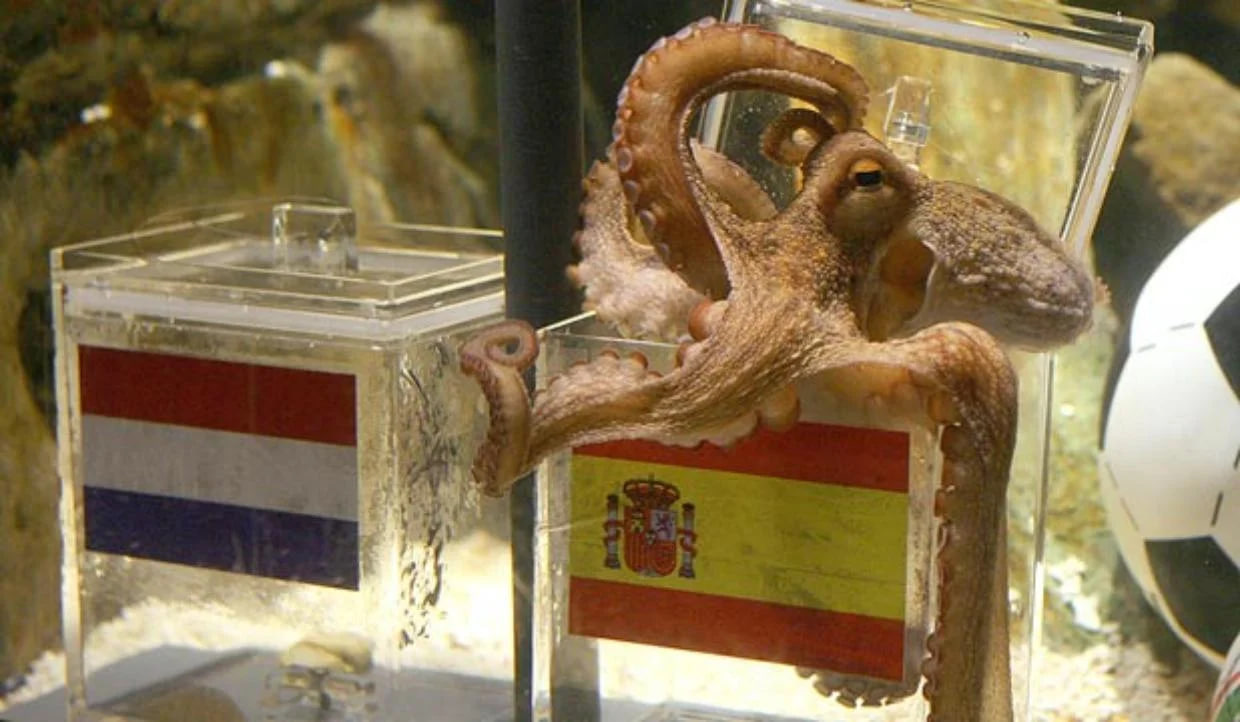 paul_the_octopus_2025-12-06_13-58-35 پل اختاپوس