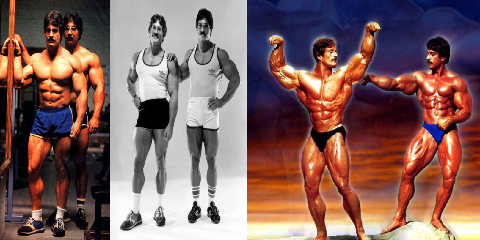 ری و مایک منتزر