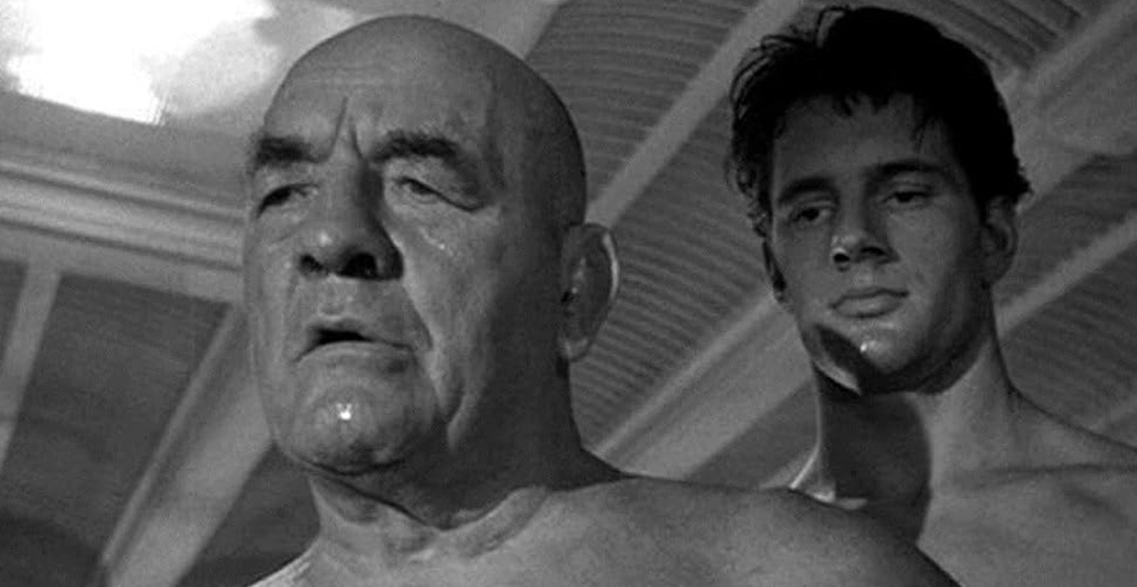 2026-02-15_120912 استانیسلائوس زبیشکو