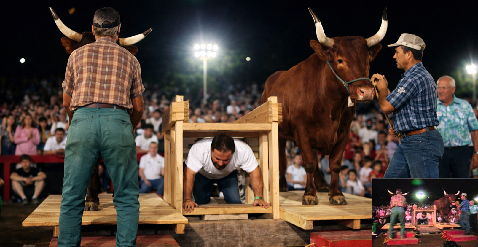 2026-02-22_235151 گرگ ارنست