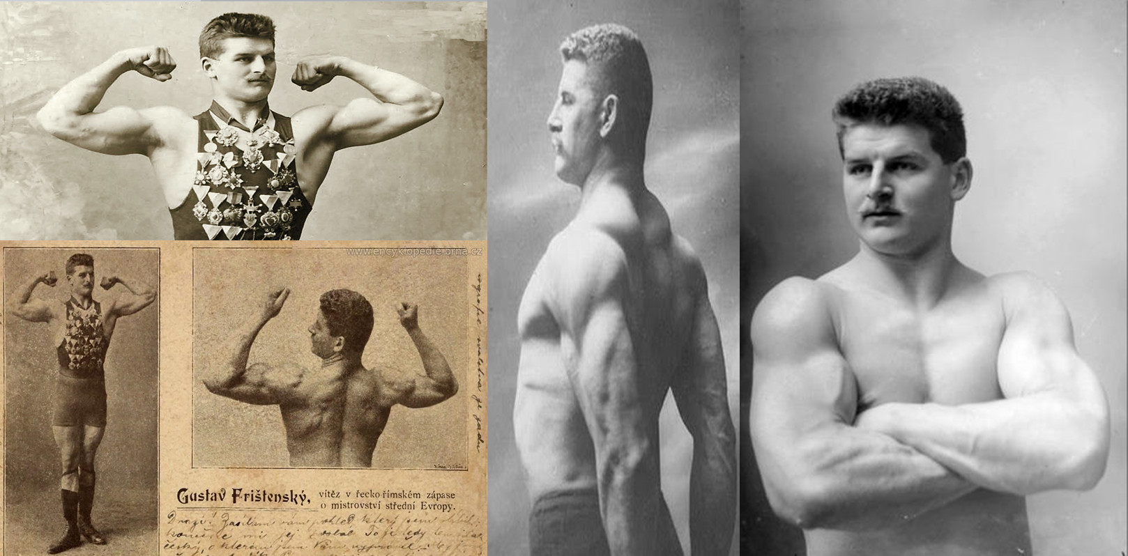 گوستاو فریشتنسکی