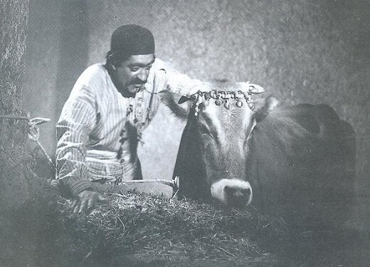5563945 نسخه مرمت شده فیلم «گاو» در برلین به نمایش درخواهد آمد - خبرآنلاین