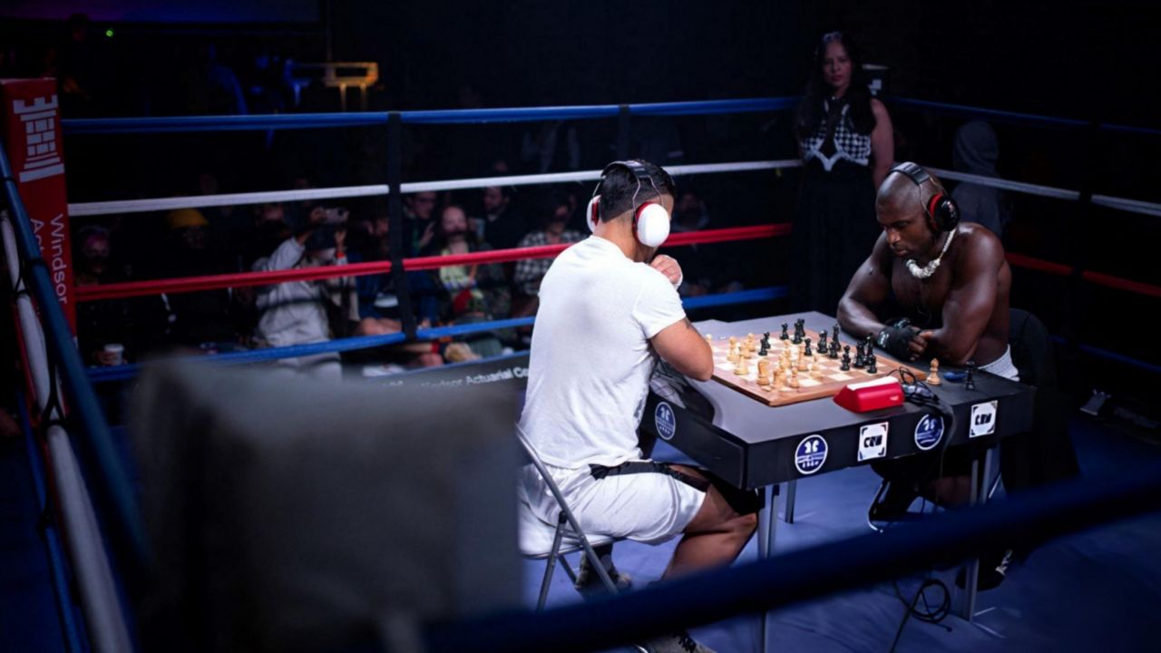 ورزش بوکس شطرنج 